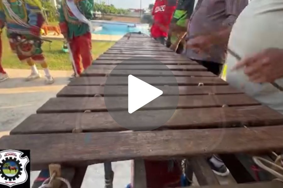 Ver video
