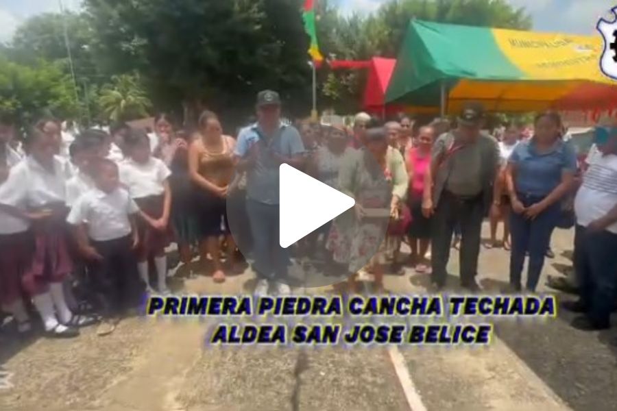 Ver video