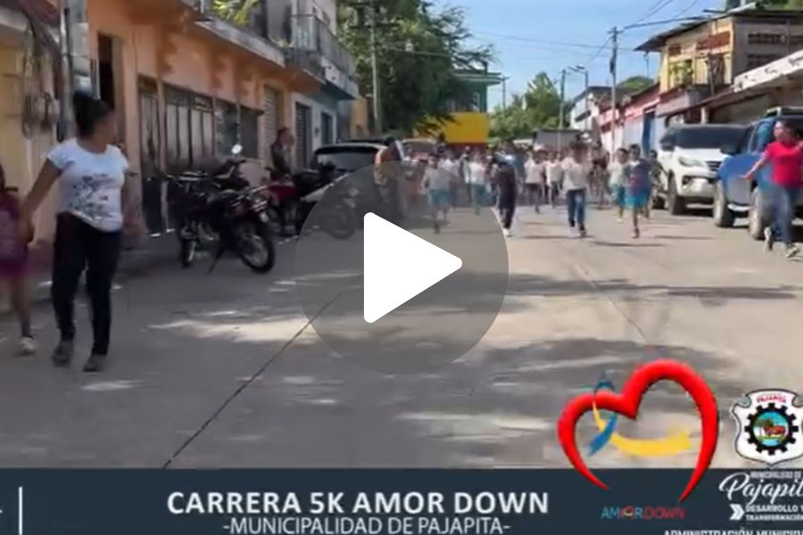 Ver video